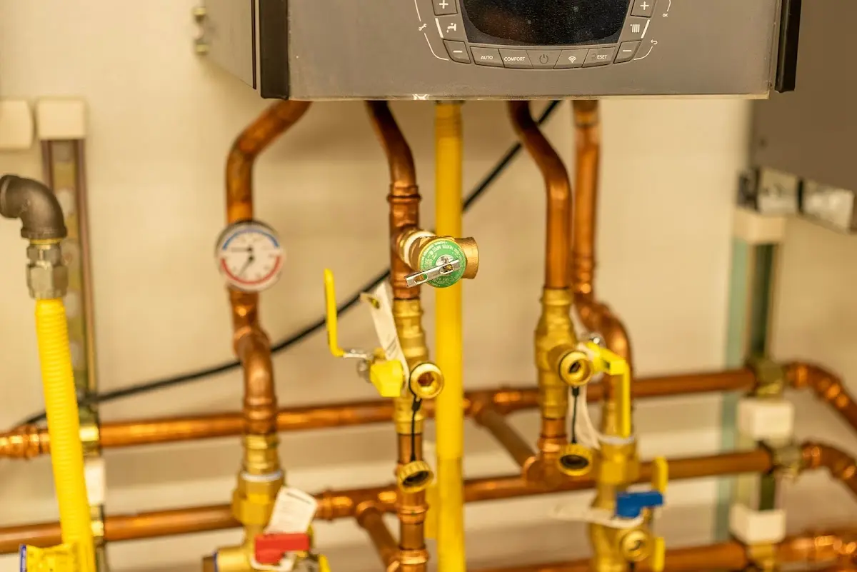 Licensed technician providing Sewer Cleanout for a homeowner in Ellisburg